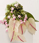 Thailand Flower FAQ